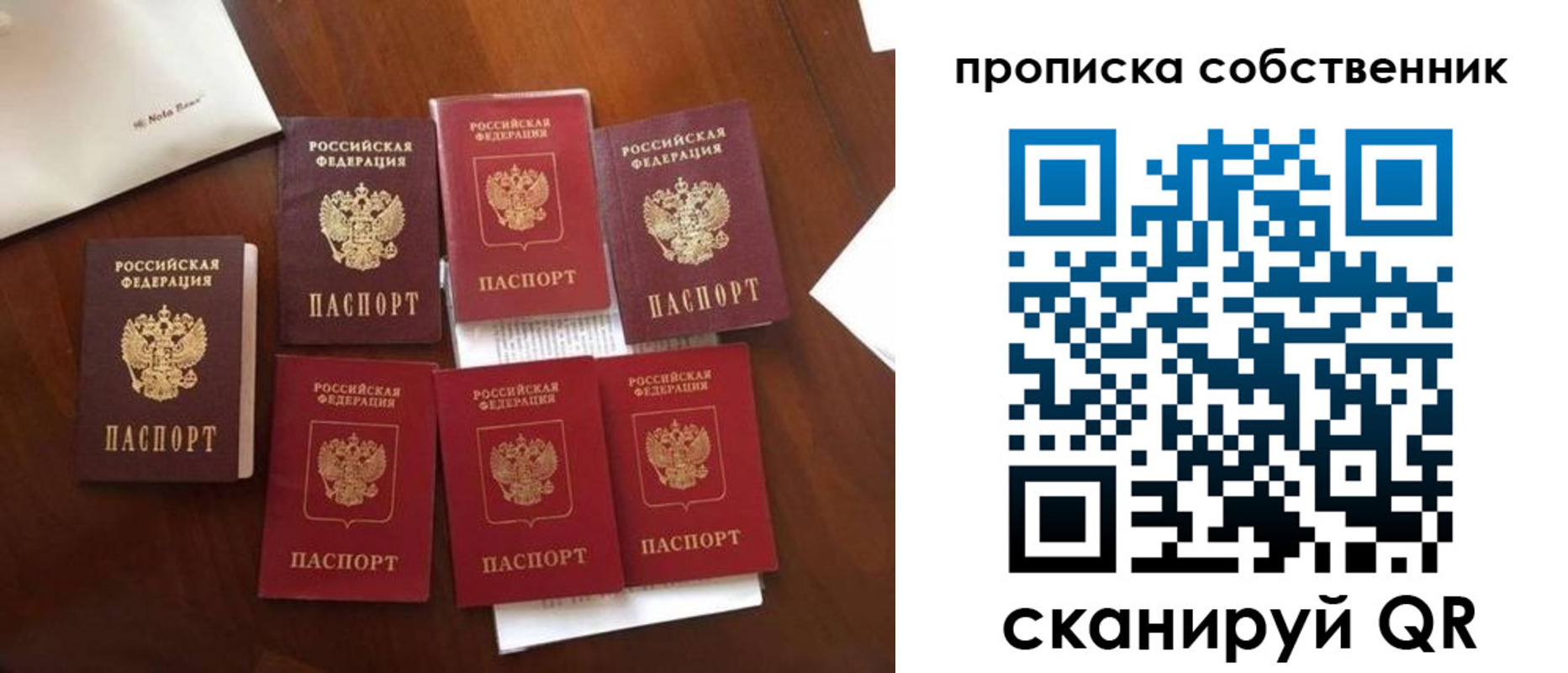 прописка для школы в Видном